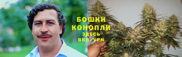 мдма Белокуриха