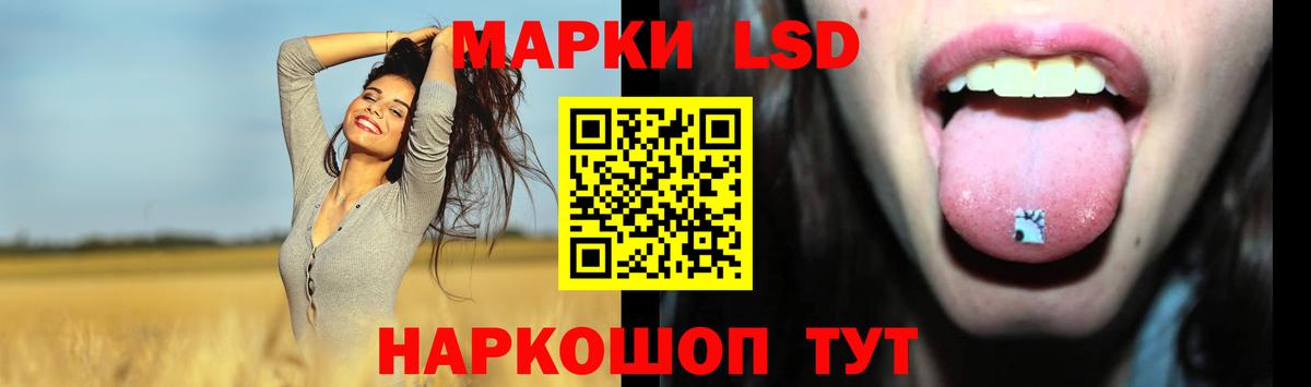Гай  LSD-25 экстази ecstasy  ЛСД экстази кислота  Вход с VPN 