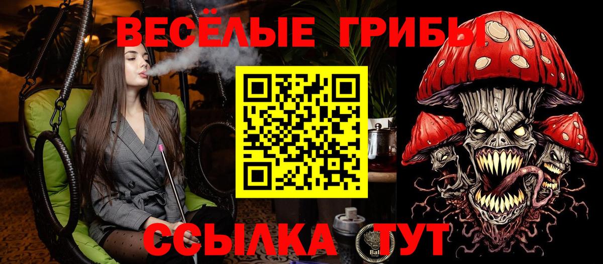 Псилоцибиновые грибы GOLDEN TEACHER  Вход с VPN  Гай 