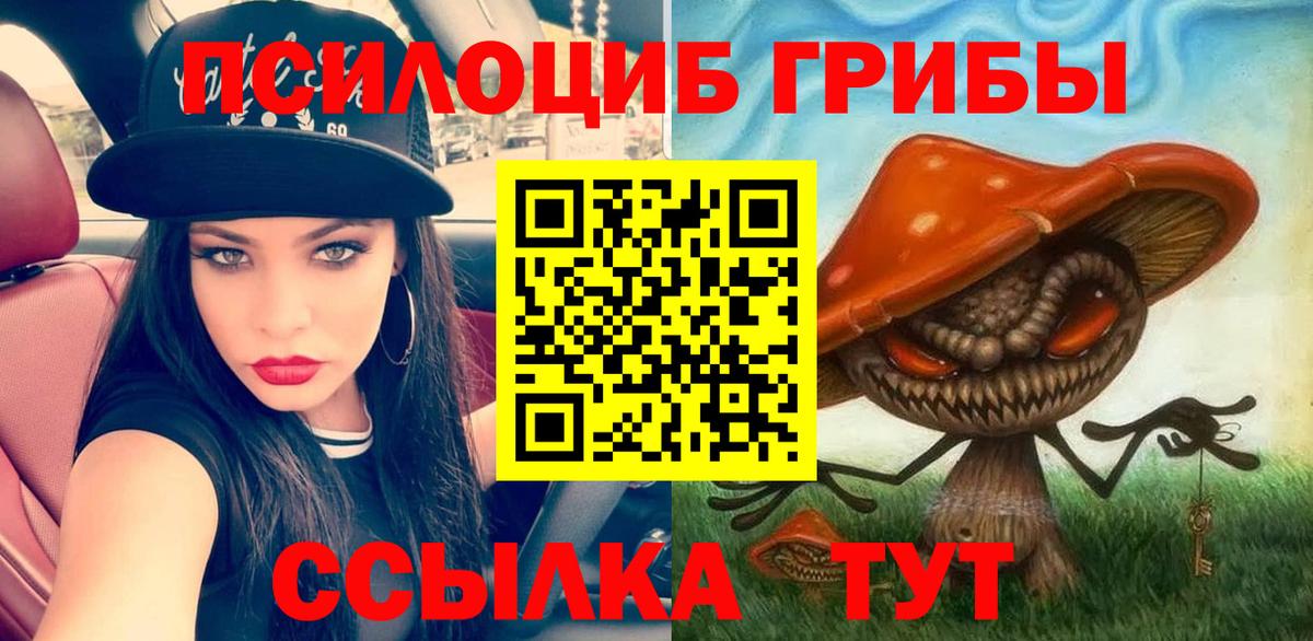 Псилоцибиновые грибы ЛСД Гай